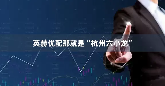 英赫优配那就是“杭州六小龙”