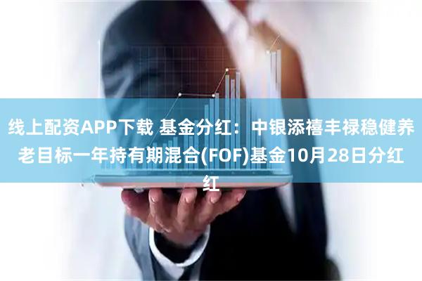 线上配资APP下载 基金分红：中银添禧丰禄稳健养老目标一年持有期混合(FOF)基金10月28日分红